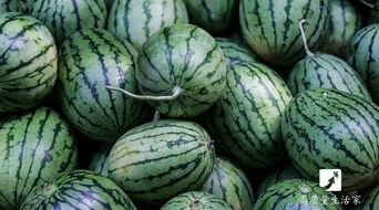 在哪个网可以吃瓜,瓜田何处，尽享八卦盛宴