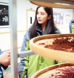 16位扶贫明星,助力脱贫攻坚，谱写新时代辉煌篇章”