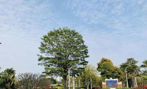 厦门小孩网红打卡的地方,童趣盎然的厦门童年印记