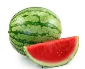 不给狗吃蜜瓜,揭秘为何狗狗不宜食用