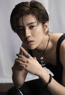 lhj明星,闪耀舞台，魅力无限