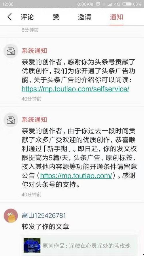 头条哪个平台的作品最好,揭秘最受欢迎作品的秘密