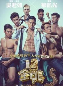 十二金鸭在线观看