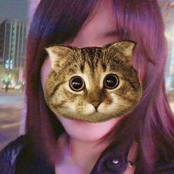 网红猴哥仁恒,网红猴界的时尚达人