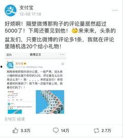 微头条怎么显示品牌,品牌如何巧妙展示与传播