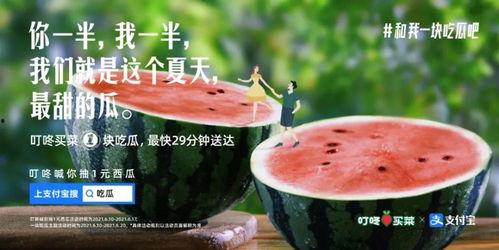 吃瓜惊到文案,揭秘娱乐圈那些不为人知的幕后故事