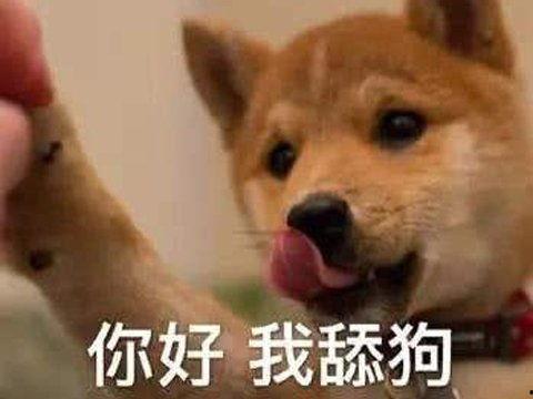 网红卖卖的表情像小狗,可爱程度堪比小狗