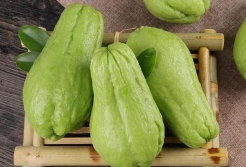 扶手瓜的子可以吃吗,美味可口的天然零食探索