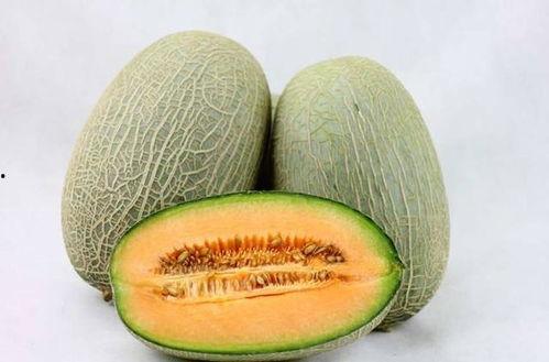 嘴里溃疡吃哈密瓜,哈密瓜助力口腔溃疡康复之旅