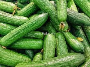 吃瓜最新入口免费,带你领略美味新境界